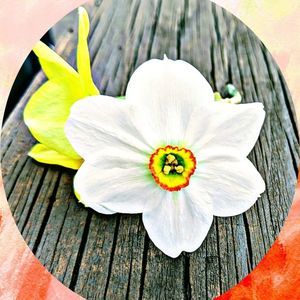 Meet your Posher, Christy